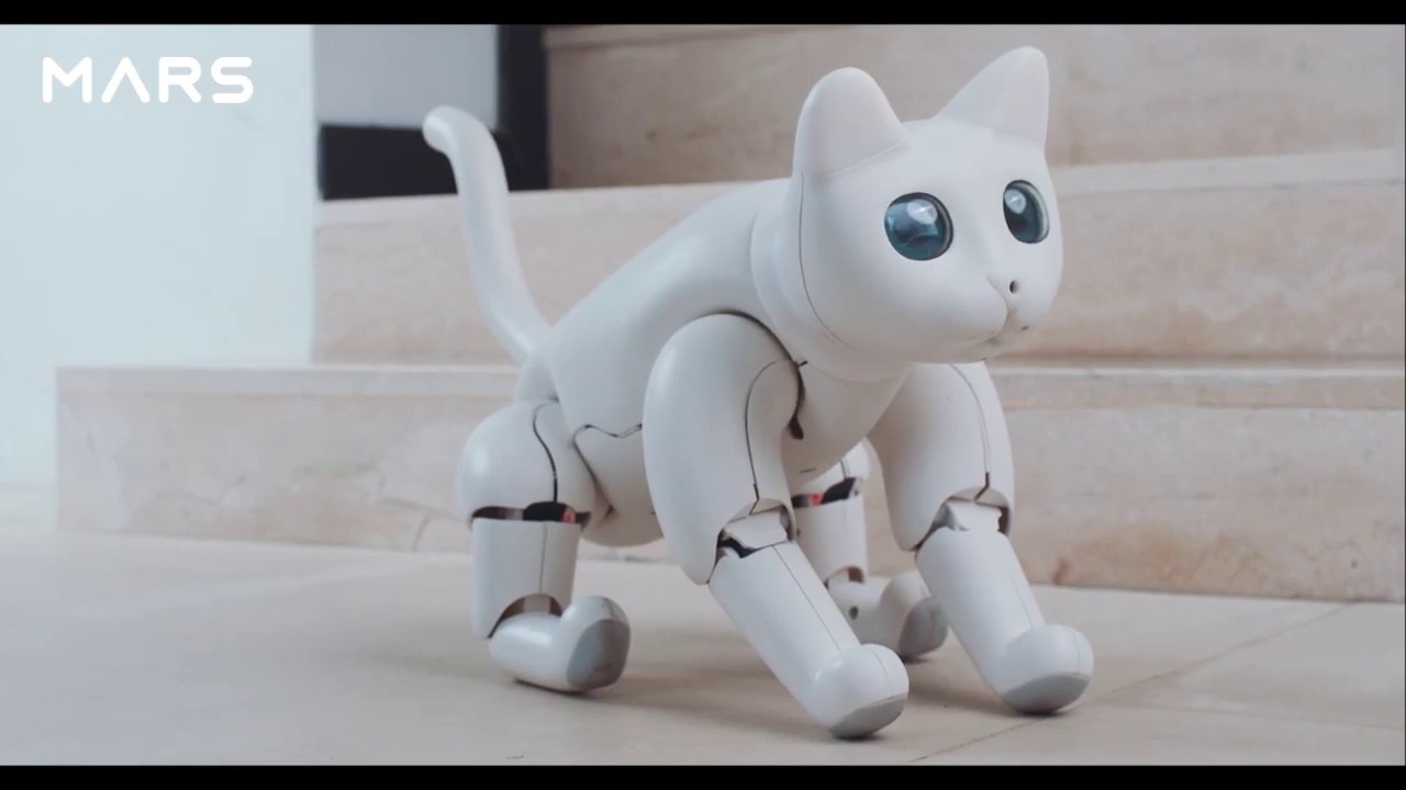 Robot Evcil Hayvan Olarak Tasarlanan, Dünyanın İlk Biyonik Kedisi